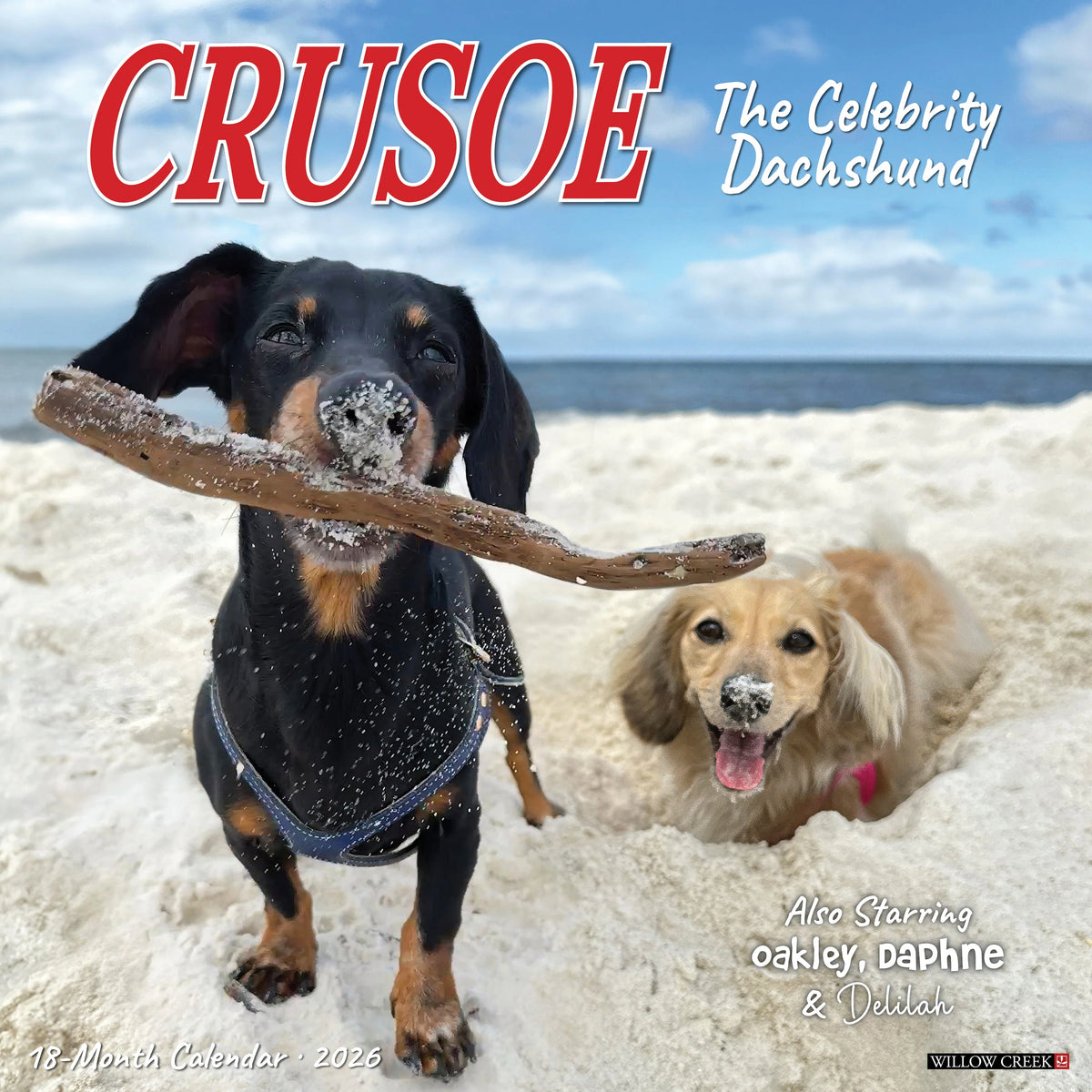 Willow Creek Press - 2026 Crusoe The Celebrity Dachshund Calendar