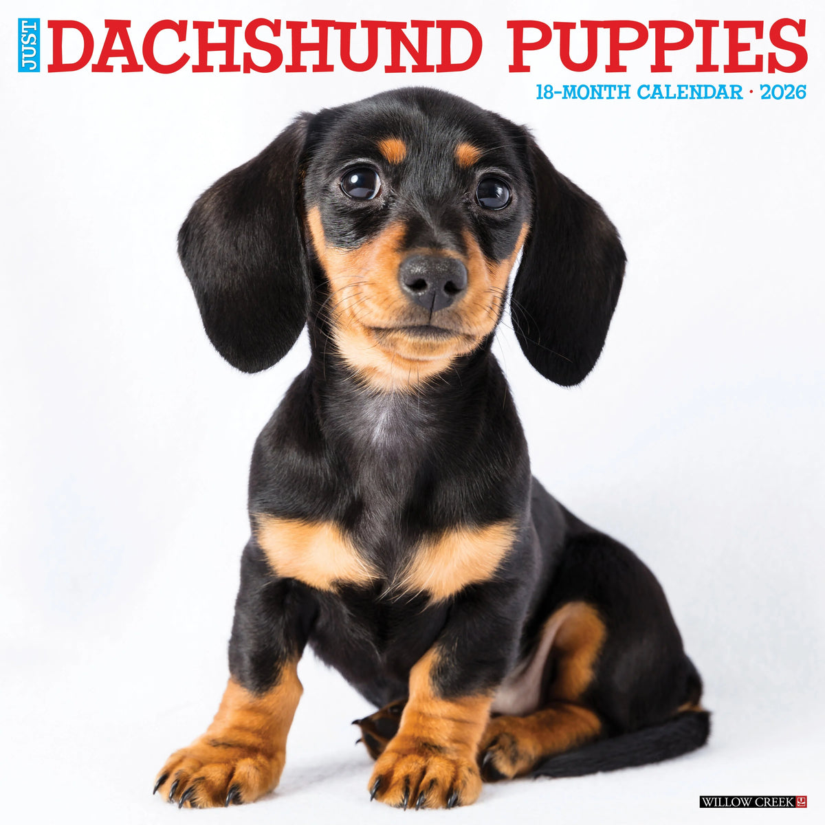 Willow Creek Press - 2026 Dachshund Puppies Calendar