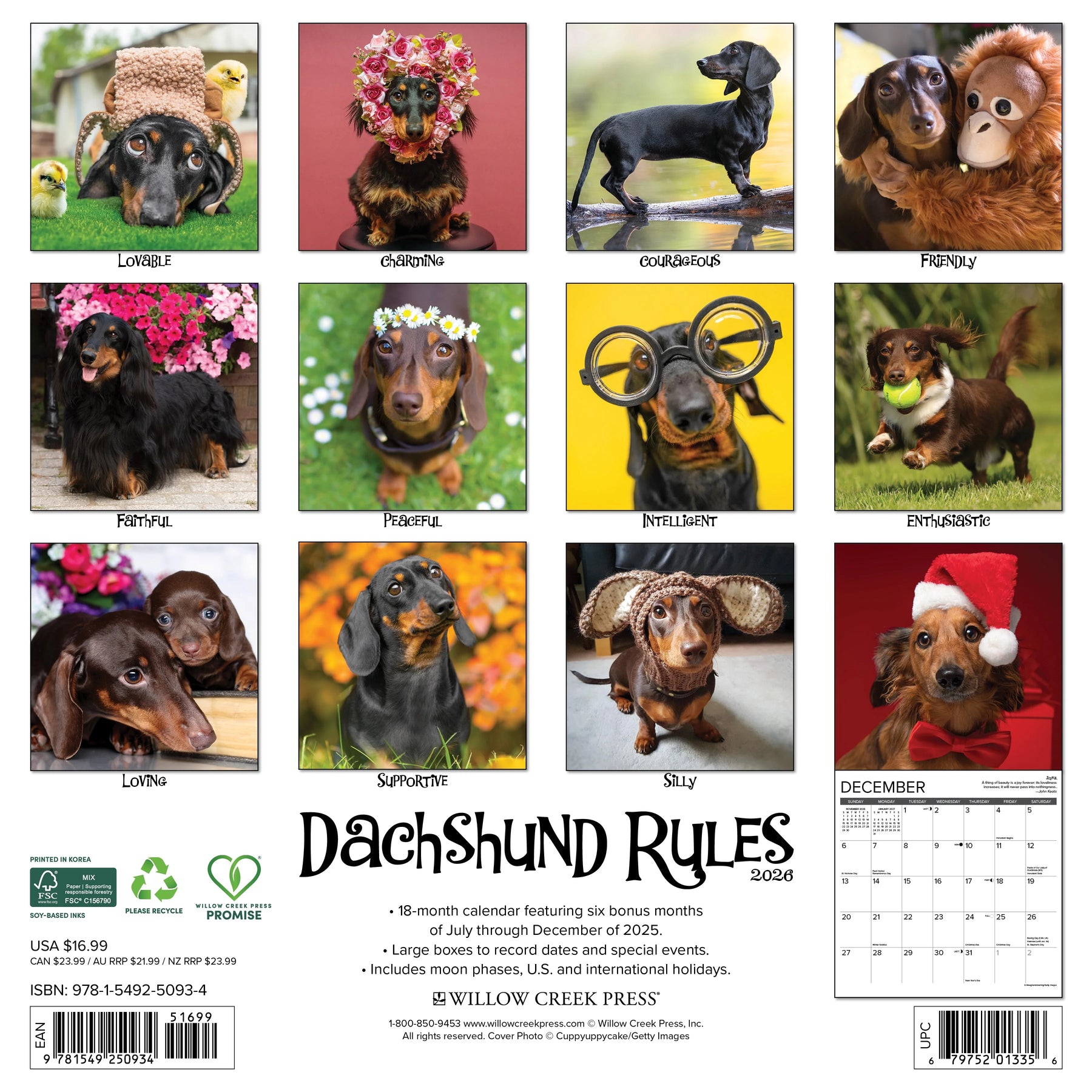 Willow Creek Press - 2026 Dachshund Rules Calendar