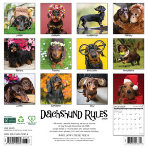 Willow Creek Press - 2026 Dachshund Rules Calendar