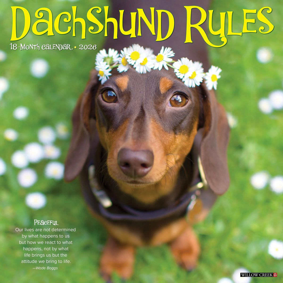 Willow Creek Press - 2026 Dachshund Rules Calendar