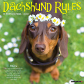 Willow Creek Press - 2026 Dachshund Rules Calendar