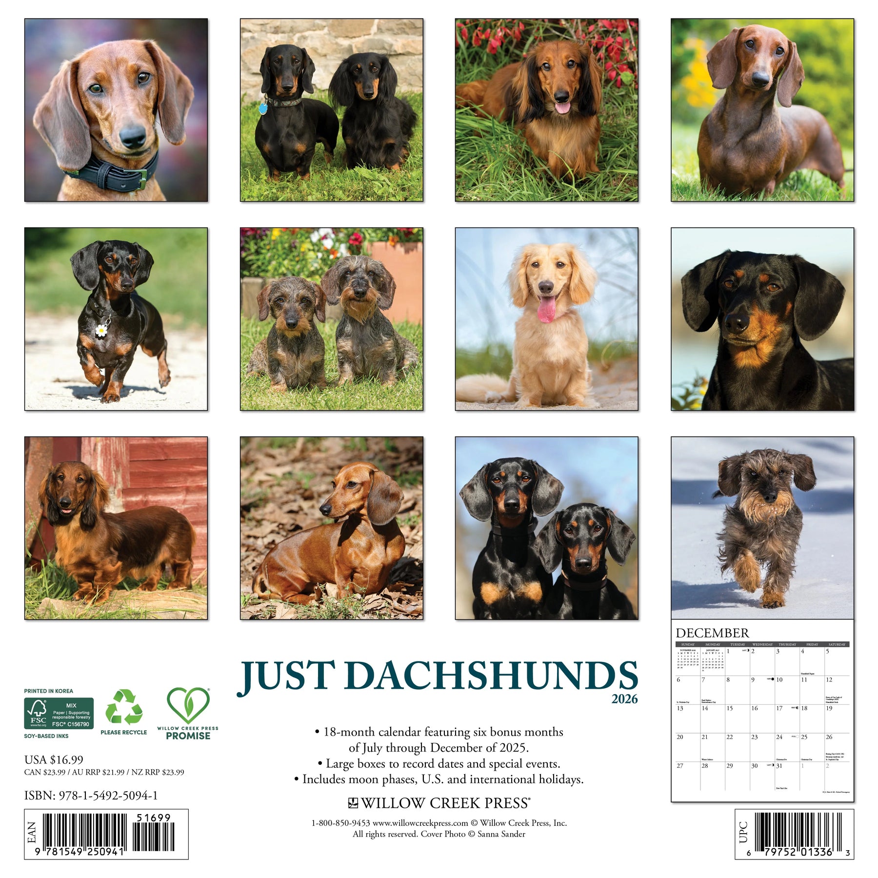 Willow Creek Press - 2026 Dachshunds Calendar