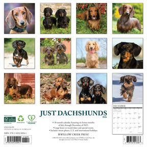Willow Creek Press - 2026 Dachshunds Calendar