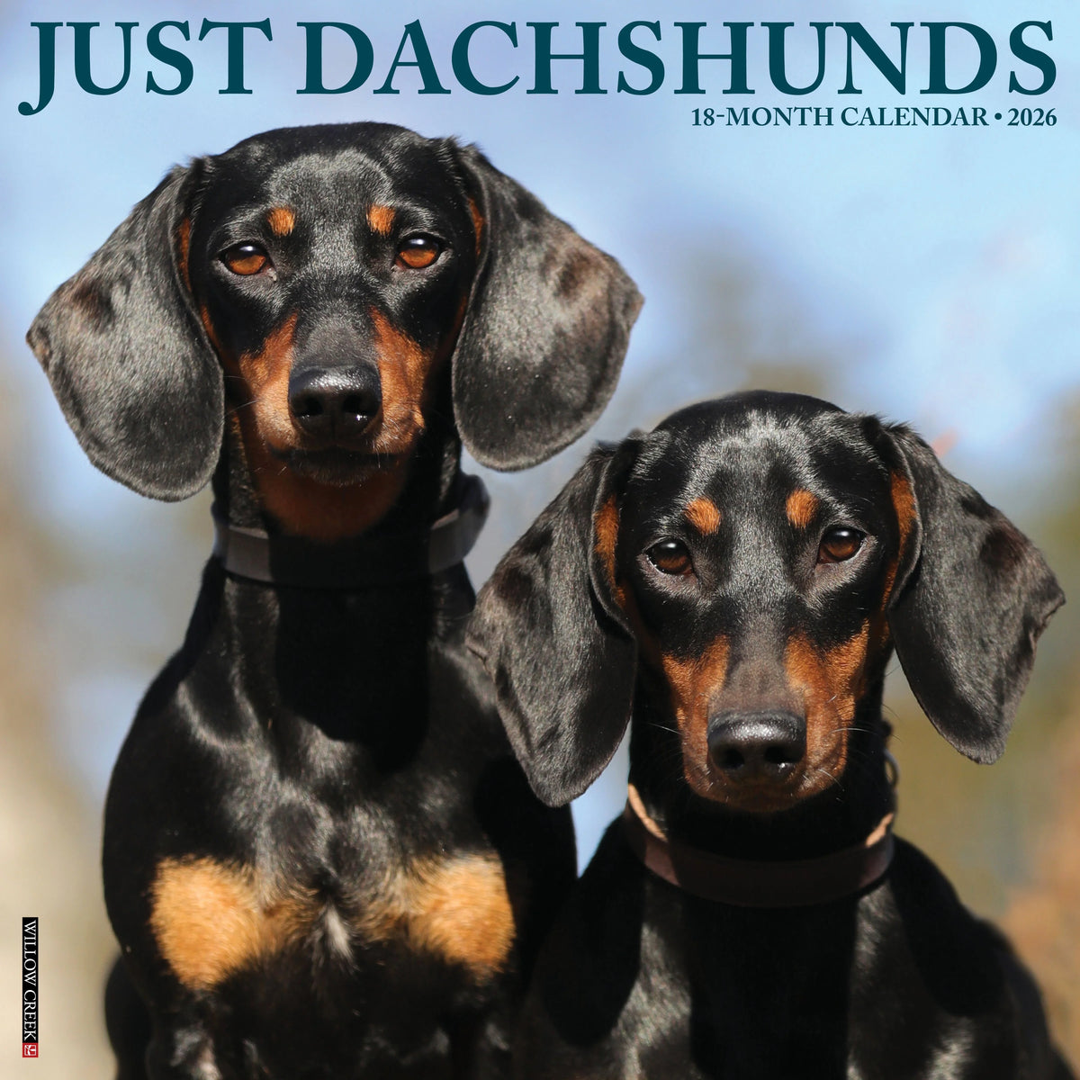 Willow Creek Press - 2026 Dachshunds Calendar