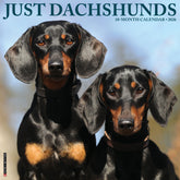 Willow Creek Press - 2026 Dachshunds Calendar