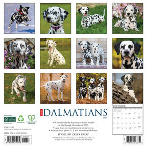Willow Creek Press - 2026 Dalmatians Calendar