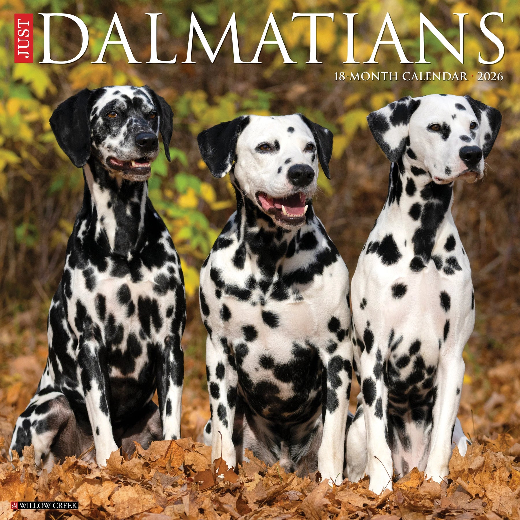 Willow Creek Press - 2026 Dalmatians Calendar