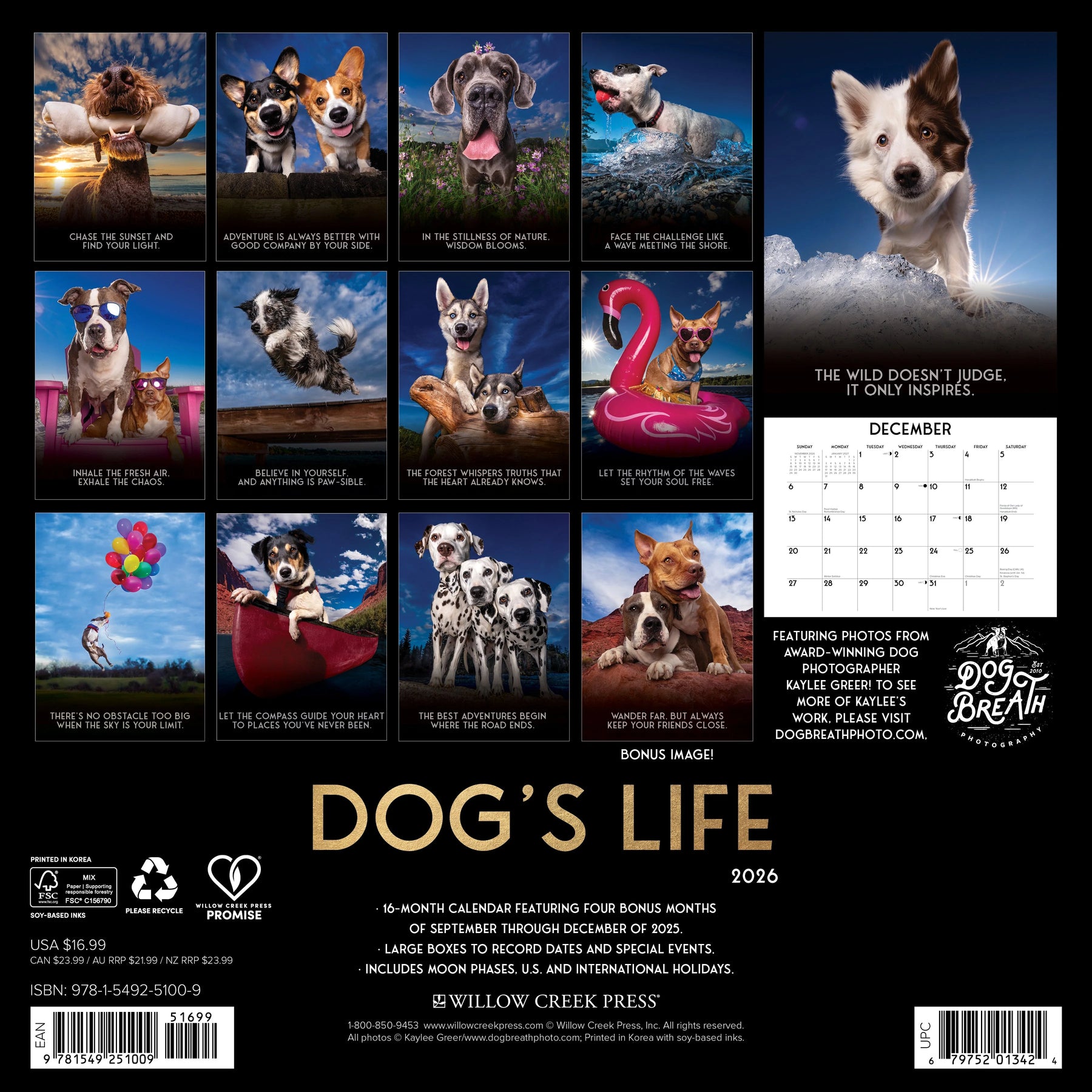 Willow Creek Press - 2026 Dogs Life Calendar