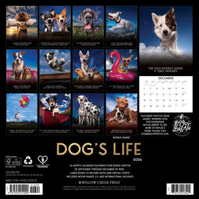 Willow Creek Press - 2026 Dogs Life Calendar