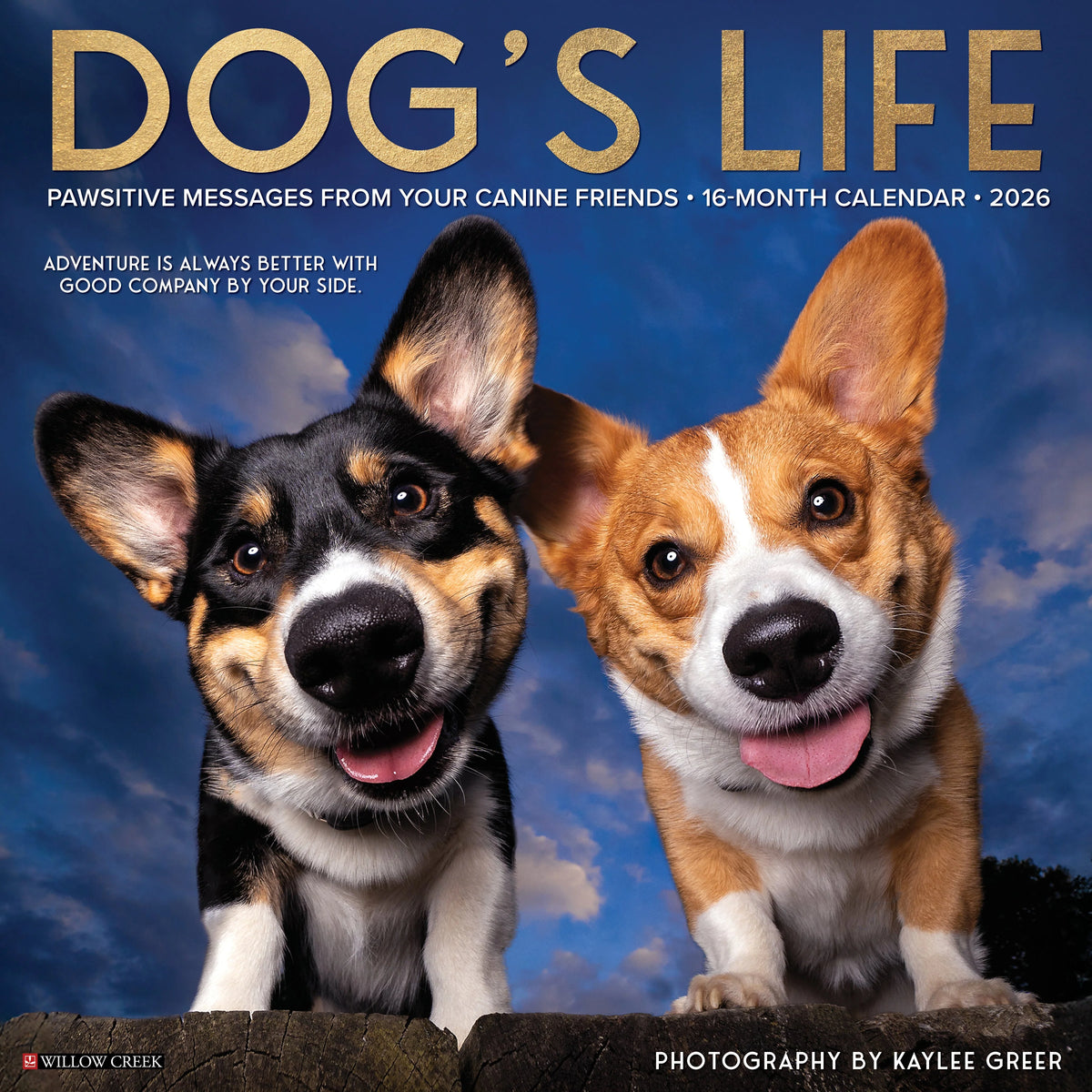 Willow Creek Press - 2026 Dogs Life Calendar