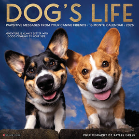 Willow Creek Press - 2026 Dogs Life Calendar