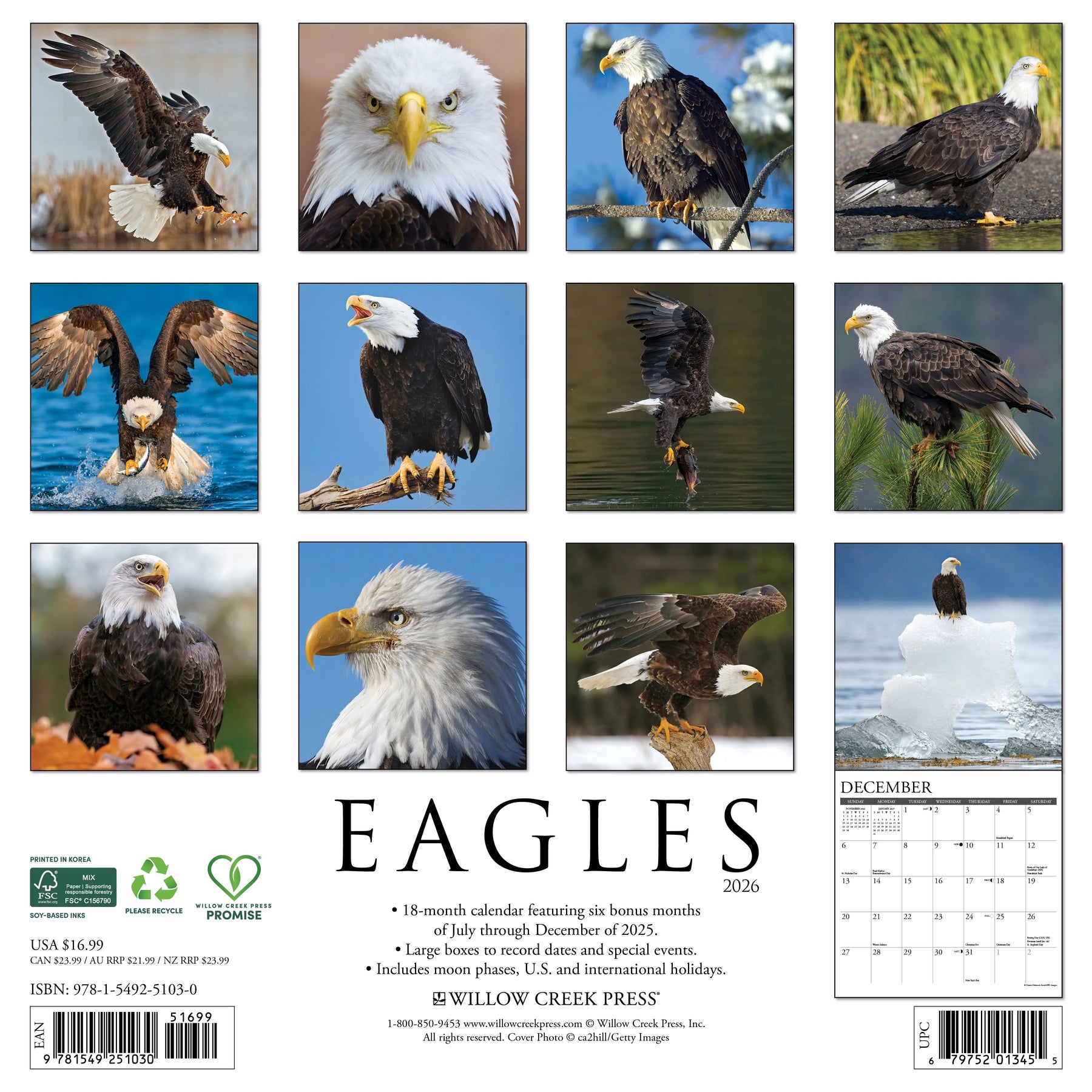 Willow Creek Press - 2026 Eagles Calendar