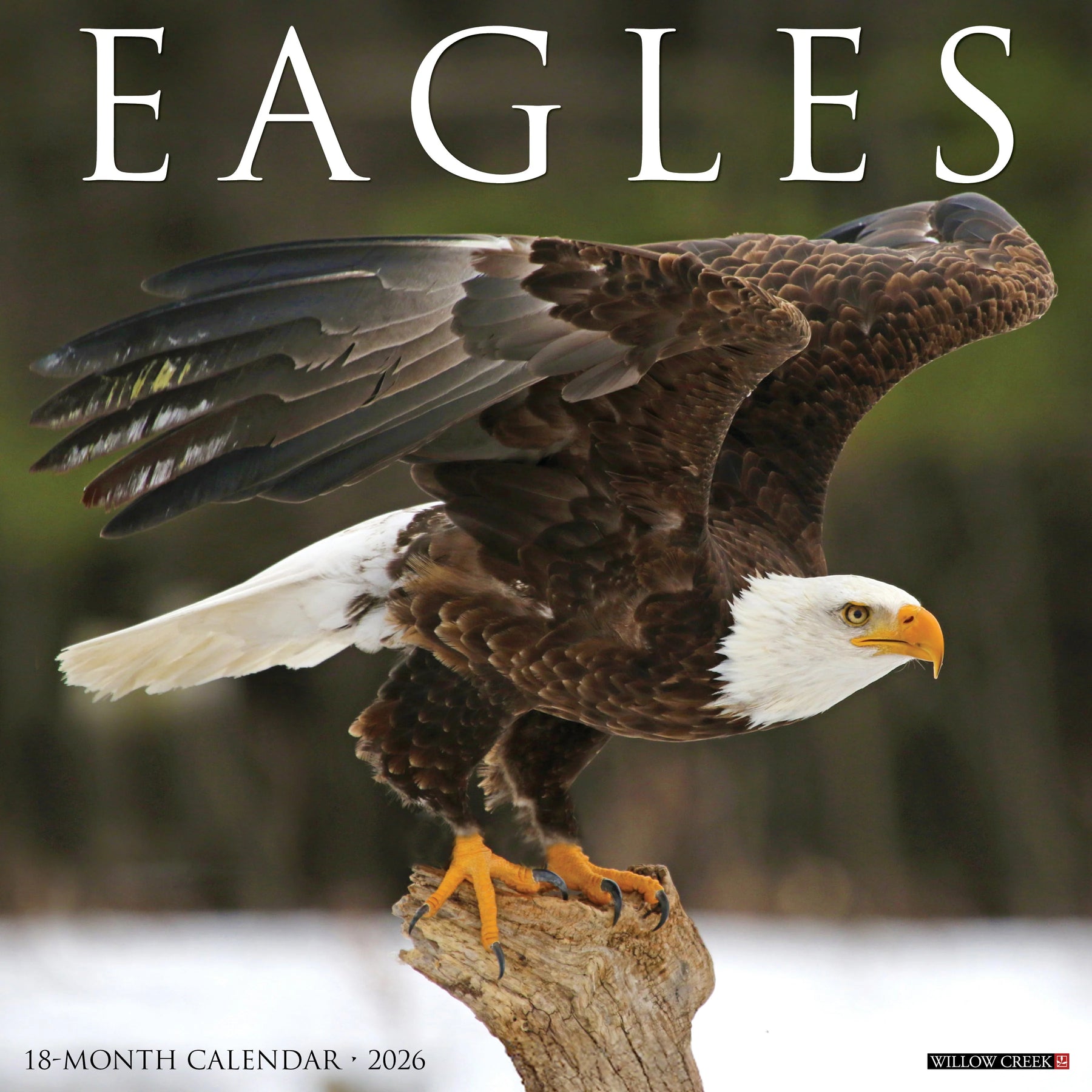 Willow Creek Press - 2026 Eagles Calendar