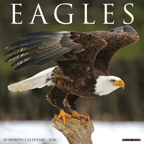 Willow Creek Press - 2026 Eagles Calendar