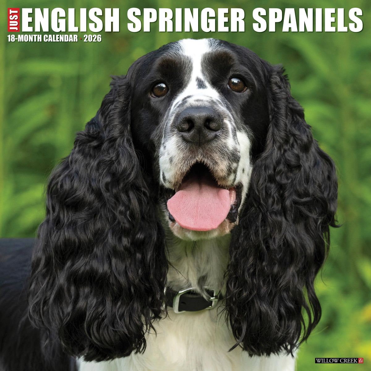 Willow Creek Press - 2026 English Springer Spaniels Calendar