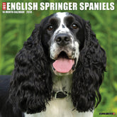 Willow Creek Press - 2026 English Springer Spaniels Calendar