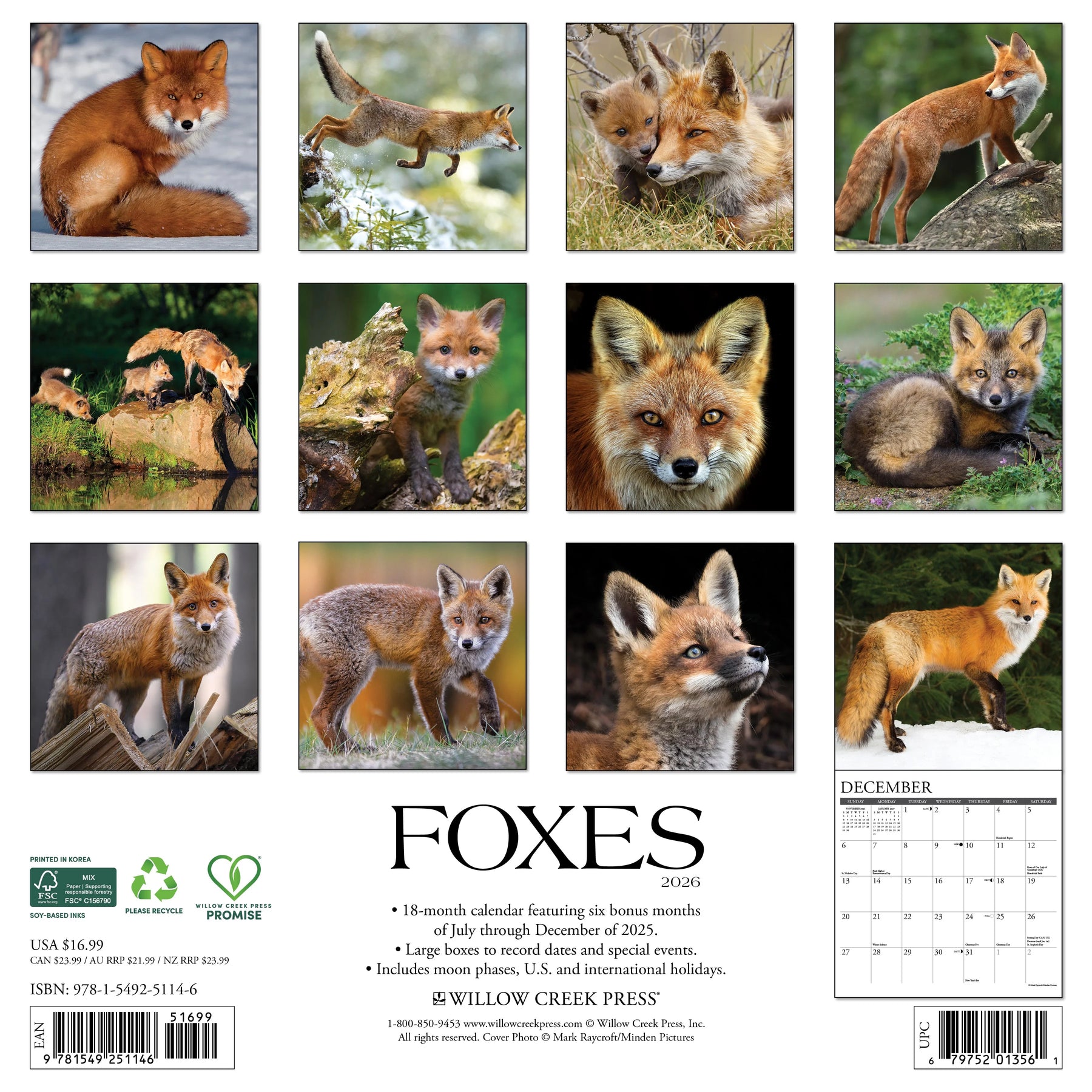 Willow Creek Press - 2026 Foxes Calendar