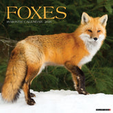Willow Creek Press - 2026 Foxes Calendar