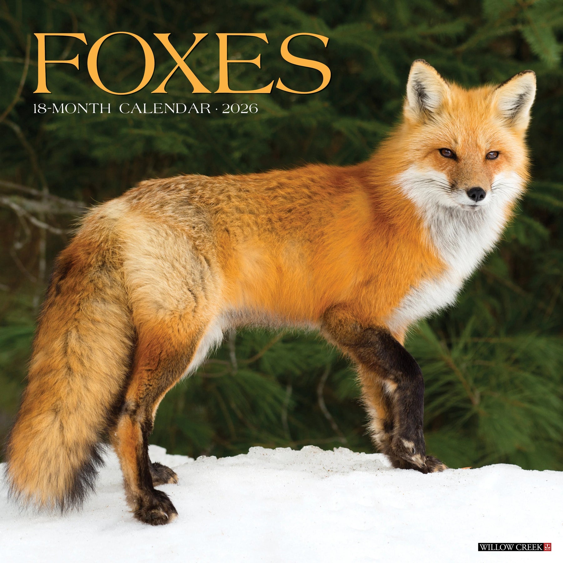 Willow Creek Press - 2026 Foxes Calendar