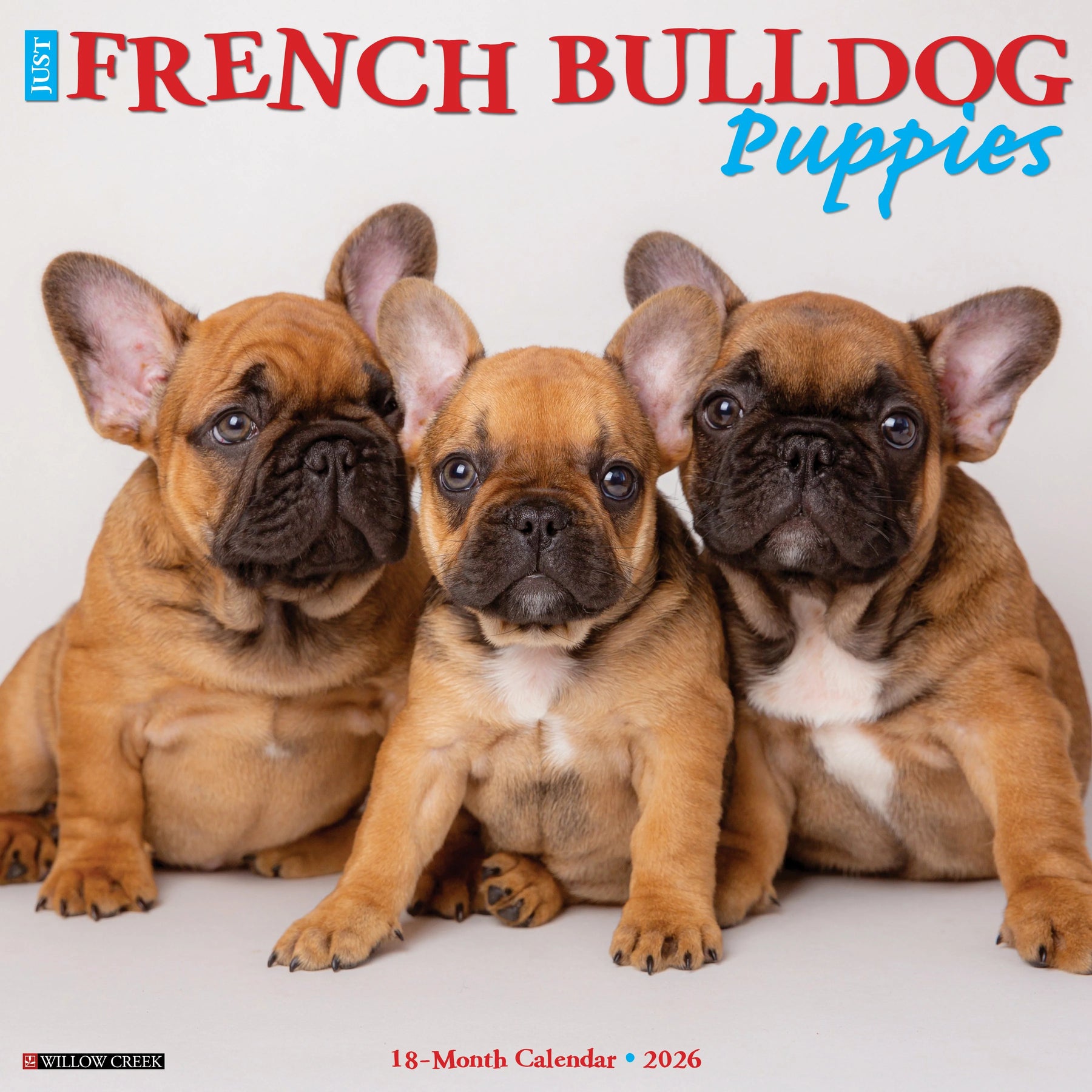 Willow Creek Press - 2026 French Bulldog Puppies Calendar