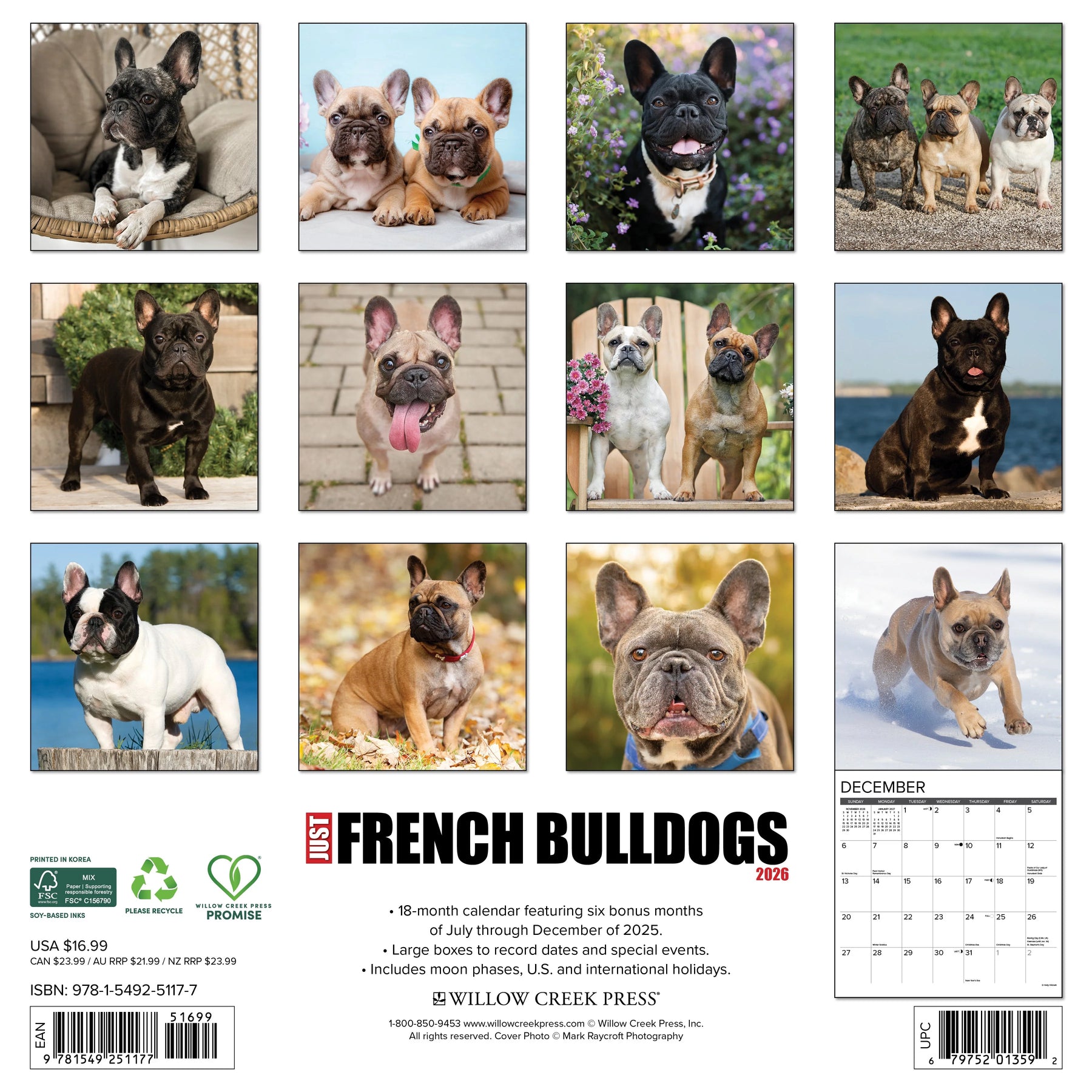 Willow Creek Press - 2026 French Bulldogs Calendar