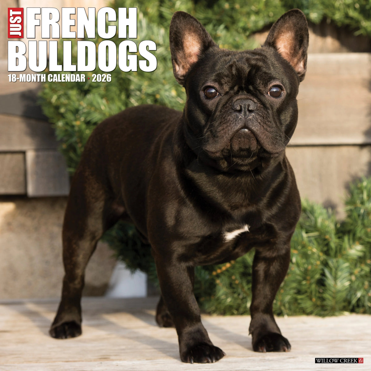 Willow Creek Press - 2026 French Bulldogs Calendar