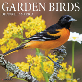 Willow Creek Press - 2026 Garden Birds Of North America Calendar