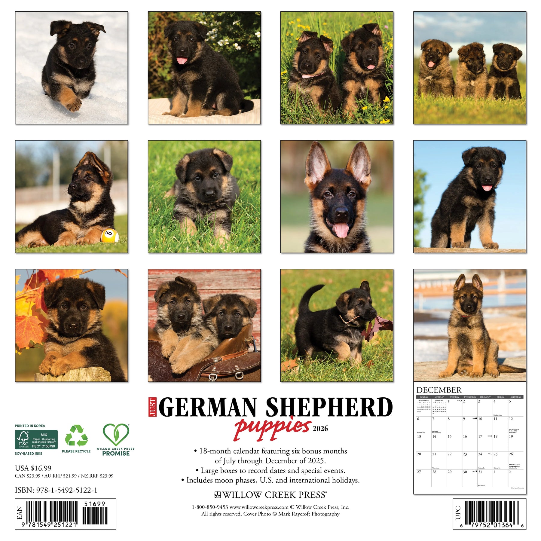 Willow Creek Press - 2026 German Shepherd Puppies Calendar