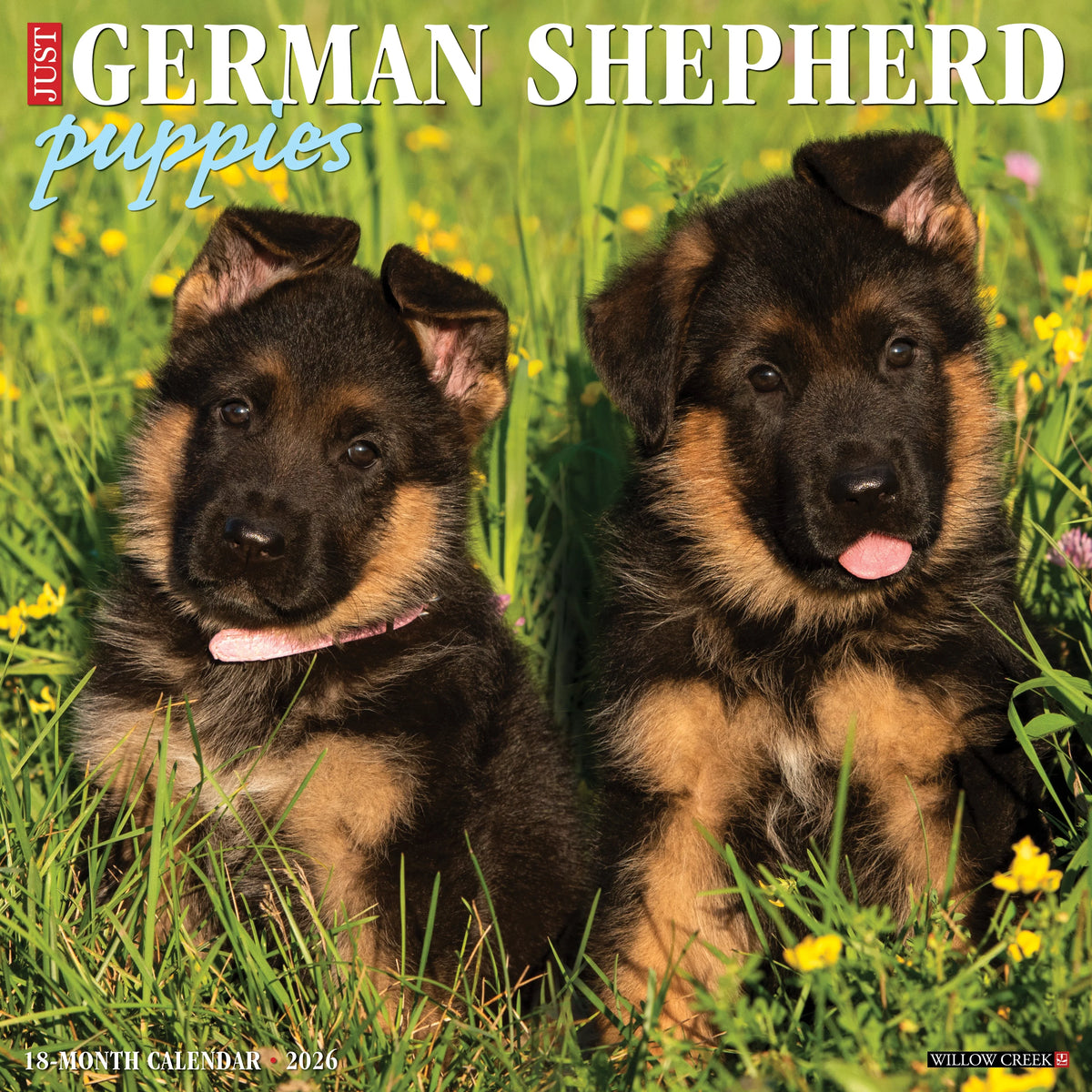 Willow Creek Press - 2026 German Shepherd Puppies Calendar