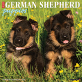 Willow Creek Press - 2026 German Shepherd Puppies Calendar
