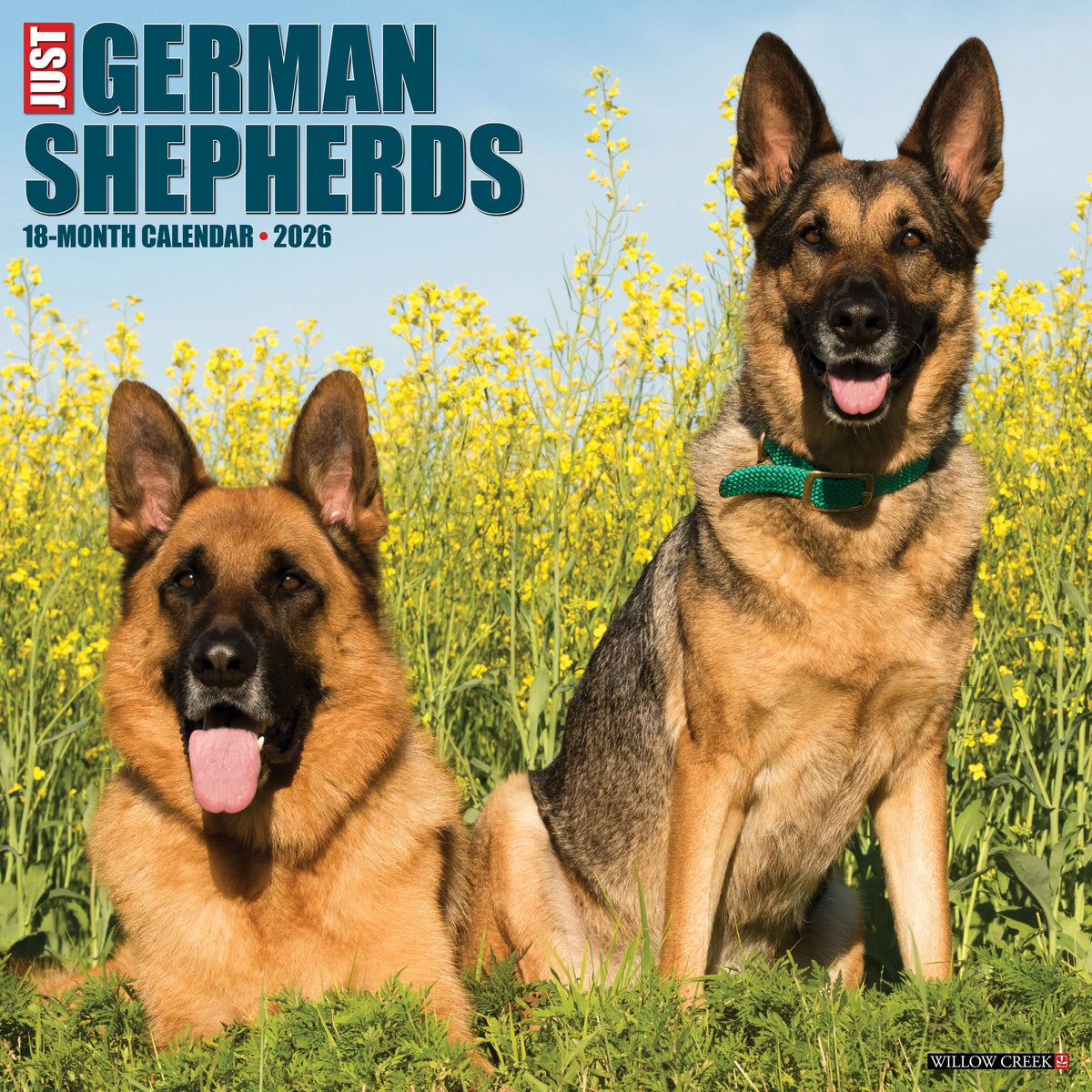 Willow Creek Press - 2026 German Shepherds Calendar