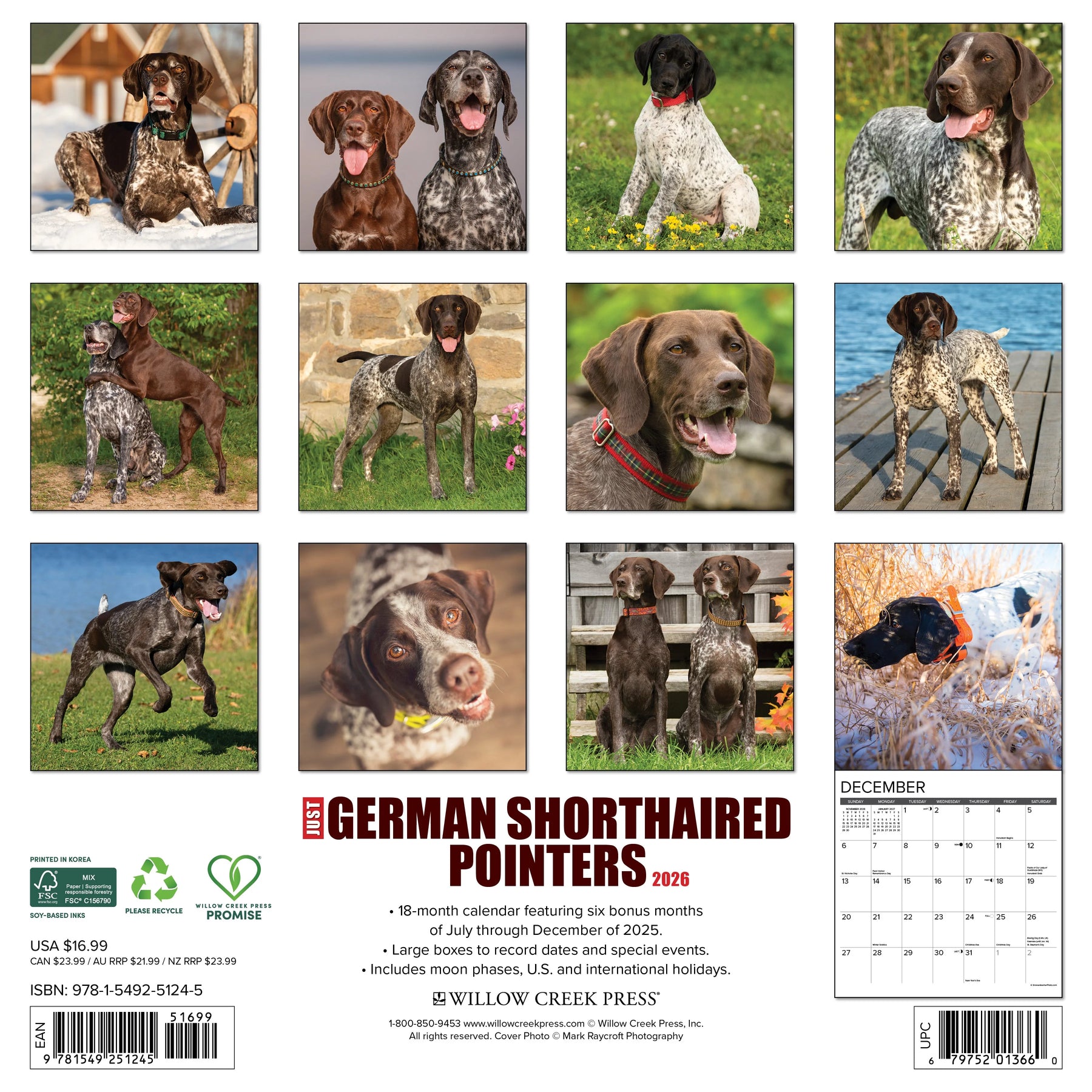 Willow Creek Press - 2026 German Shorthaired Pointers Calendar