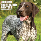 Willow Creek Press - 2026 German Shorthaired Pointers Calendar