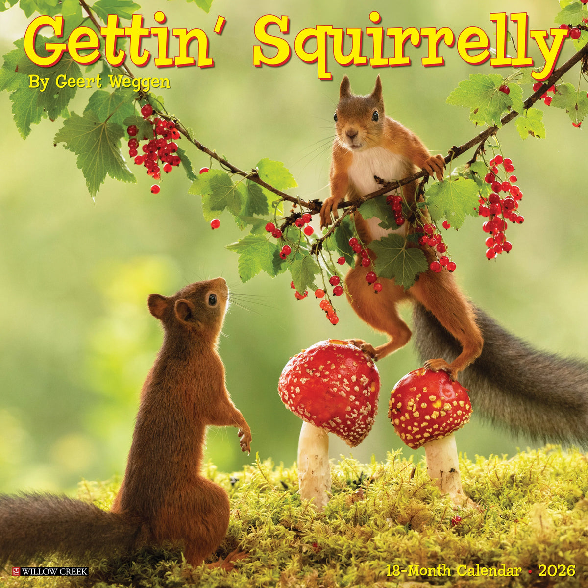 Willow Creek Press - 2026 Gettin' Squirrelly Calendar