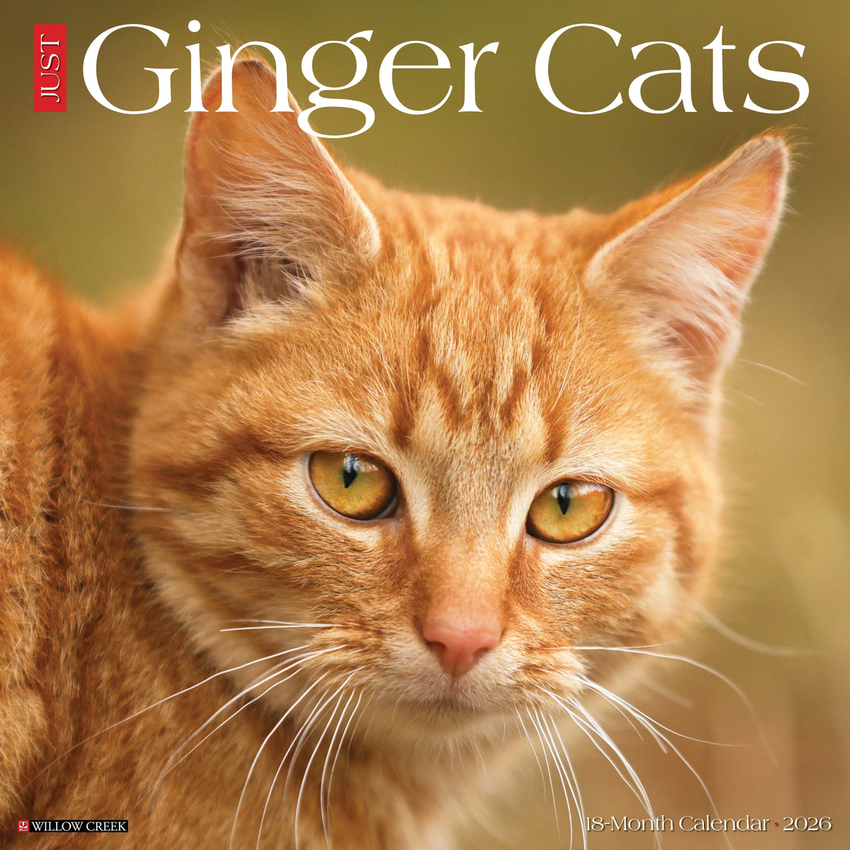 Willow Creek Press - 2026 Ginger Cats Calendar