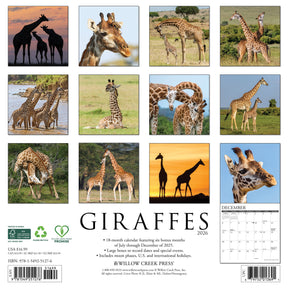 Willow Creek Press - 2026 Giraffes Calendar