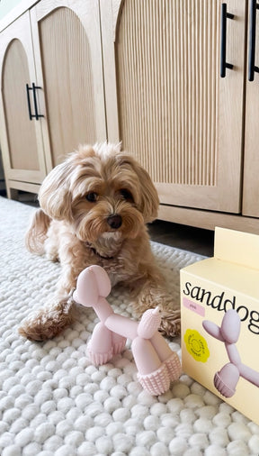 SANDDOG - Art Balloon Dog Toy