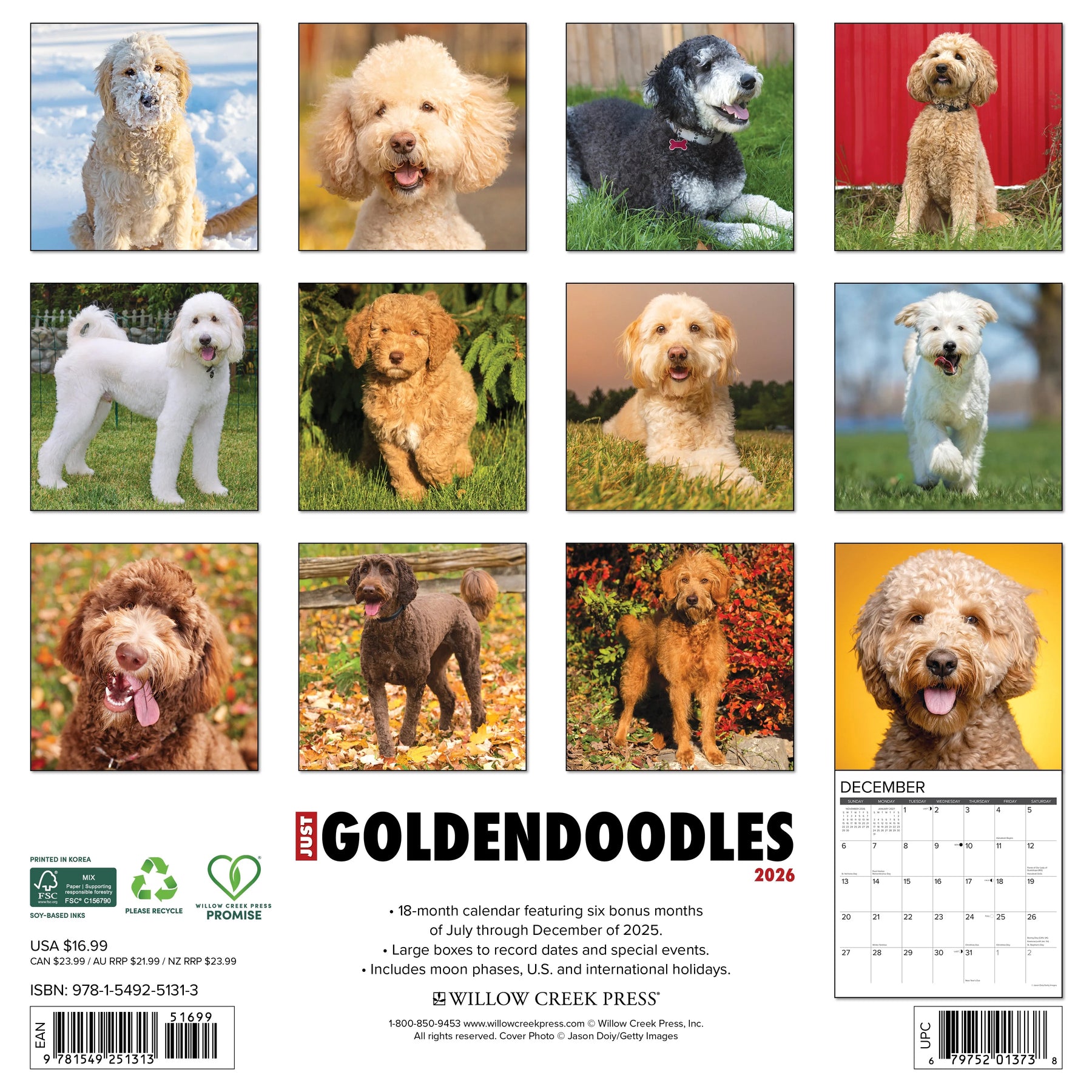 Willow Creek Press - 2026 Goldendoodles Calendar
