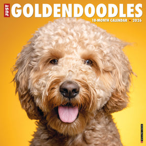 Willow Creek Press - 2026 Goldendoodles Calendar