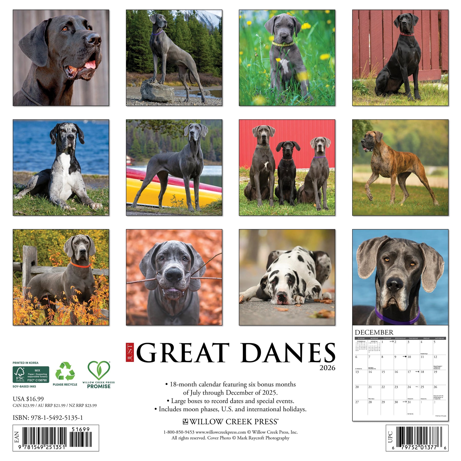 Willow Creek Press - 2026 Great Danes Calendar