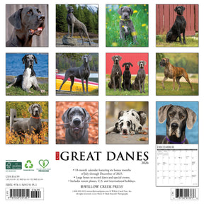 Willow Creek Press - 2026 Great Danes Calendar