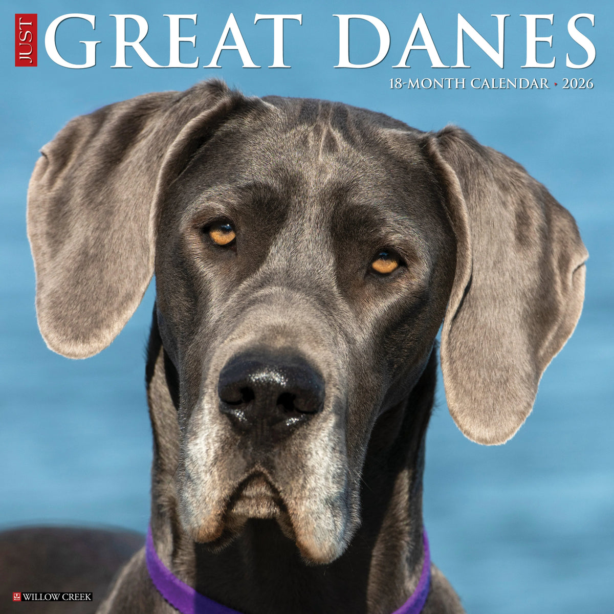Willow Creek Press - 2026 Great Danes Calendar