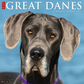 Willow Creek Press - 2026 Great Danes Calendar