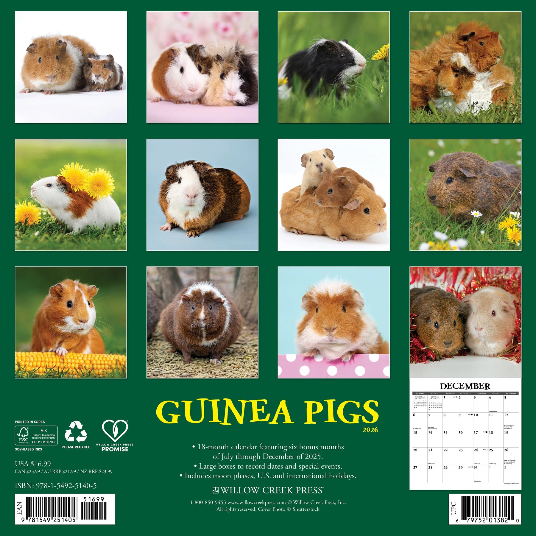 Willow Creek Press - 2026 Guinea Pigs Calendar