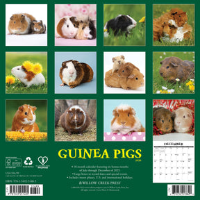 Willow Creek Press - 2026 Guinea Pigs Calendar