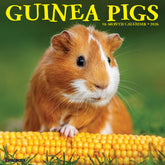 Willow Creek Press - 2026 Guinea Pigs Calendar