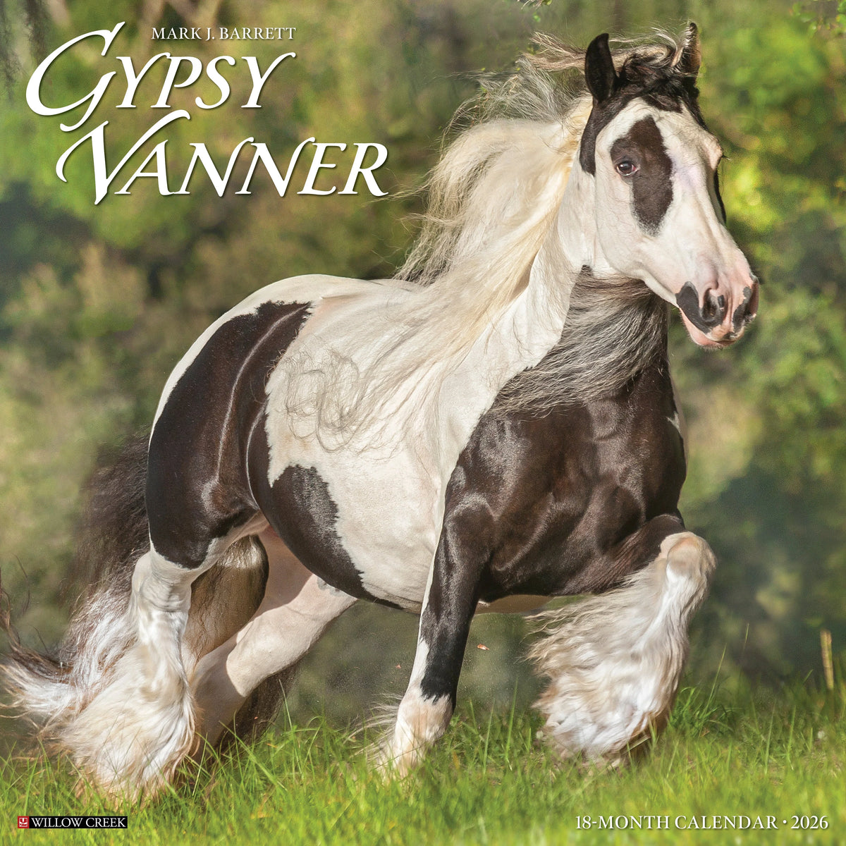 Willow Creek Press - 2026 Gypsy Vanner Horse Calendar