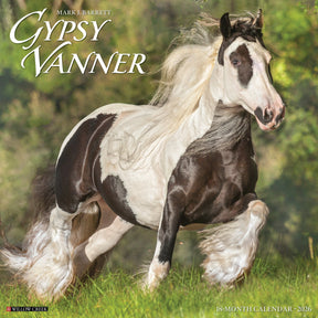 Willow Creek Press - 2026 Gypsy Vanner Horse Calendar