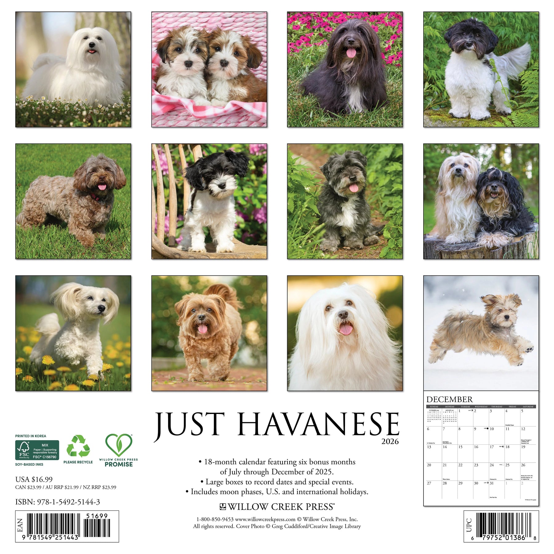 Willow Creek Press - 2026 Havanese Calendar
